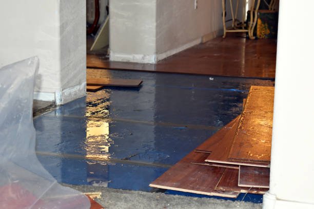 Professional Flood Damage Repair technician working in Lake Mills, WI